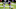 Minnesota Vikings Minnesota Vikings
