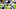 Minnesota Vikings Minnesota Vikings
