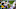 Minnesota Vikings Minnesota Vikings