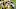 Minnesota Vikings Minnesota Vikings