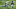 Minnesota Vikings Minnesota Vikings