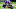 Minnesota Vikings Minnesota Vikings