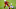 Minnesota Vikings Minnesota Vikings