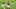 Minnesota Vikings Minnesota Vikings