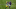 Minnesota Vikings Minnesota Vikings
