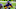 Minnesota Vikings Minnesota Vikings