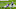 Minnesota Vikings Minnesota Vikings