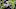Minnesota Vikings Minnesota Vikings