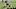 Minnesota Vikings Minnesota Vikings