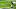Minnesota Vikings Minnesota Vikings