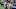 Minnesota Vikings Minnesota Vikings