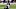 Minnesota Vikings Minnesota Vikings