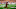 Minnesota Vikings Minnesota Vikings