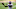Minnesota Vikings