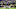 Minnesota Vikings Minnesota Vikings