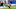 Minnesota Vikings Minnesota Vikings