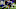 Minnesota Vikings Minnesota Vikings