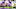 Minnesota Vikings Minnesota Vikings