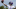 Minnesota Vikings Minnesota Vikings
