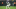 Minnesota Vikings Minnesota Vikings