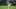 Minnesota Vikings Minnesota Vikings