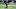 Minnesota Vikings Minnesota Vikings