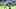 NASHVILLE, TN – DECEMBER 11: DeMarco Murray NASHVILLE, TN – DECEMBER 11: DeMarco Murray