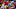 KANSAS CITY, MO – DECEMBER 18: Running back DeMarco Murray KANSAS CITY, MO – DECEMBER 18: Running back DeMarco Murray