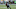 CARSON, CA – DECEMBER 10: Wide receiver Travis Benjamin #12 of the Los Angeles Chargers runs with the ball in the second quarter against the Washington Redskins on December 10, 2017 at StubHub Center in Carson, California. (Photo by Stephen Dunn/Getty Images) CARSON, CA – DECEMBER 10: Wide receiver Travis Benjamin #12 of the Los Angeles Chargers runs with the ball in the second quarter against the Washington Redskins on December 10, 2017 at StubHub Center in Carson, California. (Photo by Stephen Dunn/Getty Images)