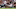 HOUSTON, TX – OCTOBER 01: Jadeveon Clowney HOUSTON, TX – OCTOBER 01: Jadeveon Clowney