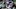 SEATTLE, WA – OCTOBER 29: Quarterback Deshaun Watson SEATTLE, WA – OCTOBER 29: Quarterback Deshaun Watson