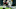 HOUSTON, TX – NOVEMBER 05: Lamar Miller HOUSTON, TX – NOVEMBER 05: Lamar Miller