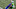 LAS VEGAS, NV – DECEMBER 16: Quarterback Justin Herbert LAS VEGAS, NV – DECEMBER 16: Quarterback Justin Herbert