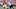 Denver Broncos RB Royce Freeman Denver Broncos RB Royce Freeman