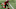 LONDON, ENGLAND – OCTOBER 13: O.J. Howard of Tampa Bay Buccaneers runs with the ball during the NFL game between Carolina Panthers and Tampa Bay Buccaneers at Tottenham Hotspur Stadium on October 13, 2019 in London, England. (Photo by Naomi Baker/Getty Images) LONDON, ENGLAND – OCTOBER 13: O.J. Howard of Tampa Bay Buccaneers runs with the ball during the NFL game between Carolina Panthers and Tampa Bay Buccaneers at Tottenham Hotspur Stadium on October 13, 2019 in London, England. (Photo by Naomi Baker/Getty Images)