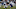 Oakland Raiders RB DeAndre Washington Oakland Raiders RB DeAndre Washington