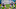 Tennessee Titans Tennessee Titans