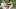 Tennessee Titans Tennessee Titans