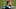 Tennessee Titans Tennessee Titans