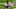 Tennessee Titans Tennessee Titans