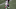 Nov 15, 2020; Foxborough, Massachusetts, USA; New England Patriots cornerback J.C. Jackson (27) intercepts a pass during the first half against the Baltimore Ravens at Gillette Stadium. Mandatory Credit: Paul Rutherford-USA TODAY Sports Nov 15, 2020; Foxborough, Massachusetts, USA; New England Patriots cornerback J.C. Jackson (27) intercepts a pass during the first half against the Baltimore Ravens at Gillette Stadium. Mandatory Credit: Paul Rutherford-USA TODAY Sports
