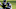 Tennessee Titans Tennessee Titans