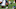 Tennessee Titans Tennessee Titans