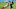 Tennessee Titans Tennessee Titans