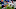 Tennessee Titans Tennessee Titans