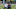 Tennessee Titans Tennessee Titans