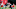 Tennessee Titans Tennessee Titans