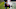 Tennessee Titans Tennessee Titans