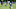 Fred Brown, Tennessee Titans