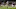 Racey McMath, Tennessee Titans Racey McMath, Tennessee Titans